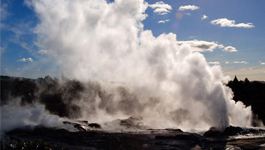 ������ҵ