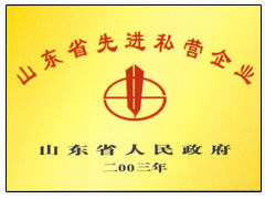 ɽ��ʡ�Ƚ�˽Ӫ��ҵ